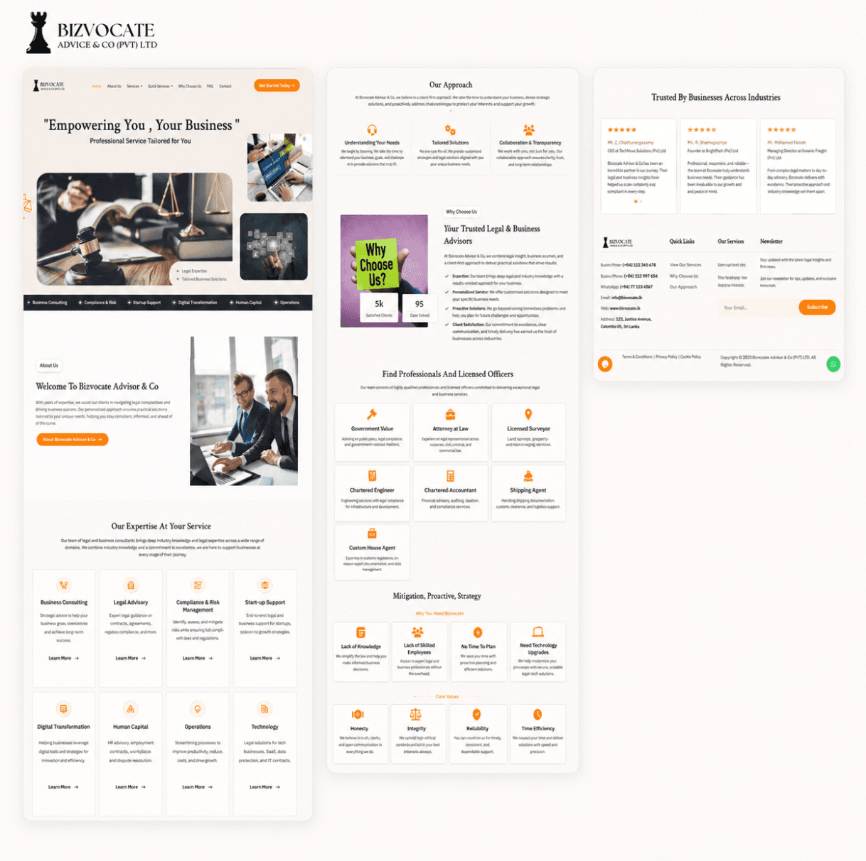 Bizvocate Advisor & Co Service Experience